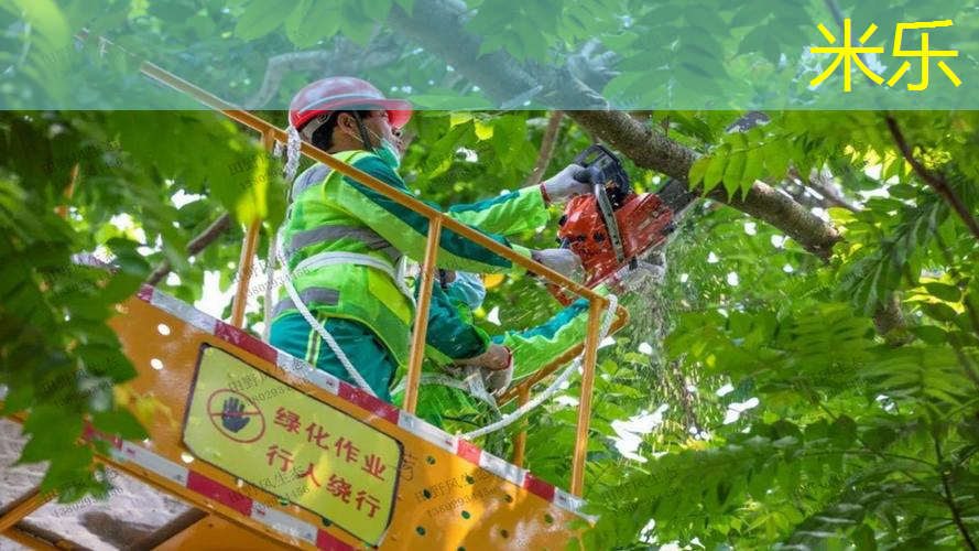mile·米乐m6：网球拍1号手柄和2