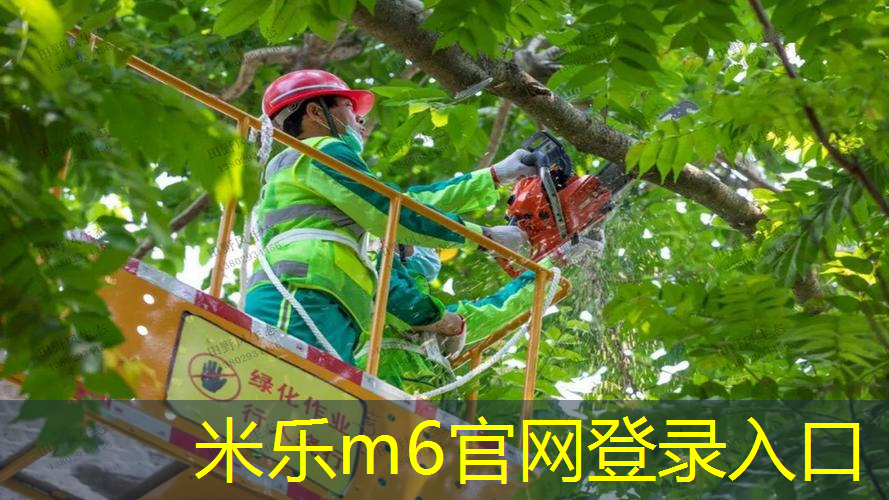 米乐m6官网：网球拍松紧度怎么选的