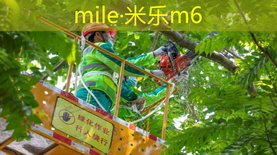 米乐m6官网登录入口：50mm足球场用人造草坪