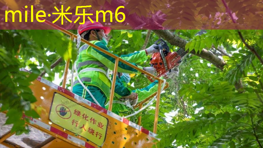 米乐m6官网登录入口：让城市成为大自然的延伸，市政绿化景观草坪设计突破传统！