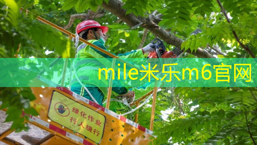 家里桌子当乒乓球台好吗