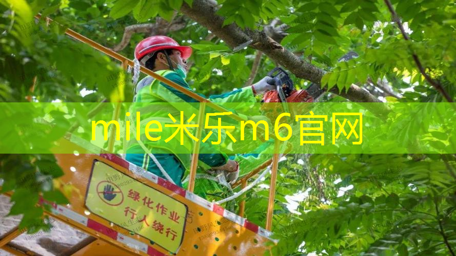 50mm足球场用人造草坪