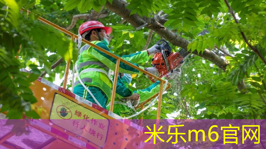 让城市成为大自然的延伸，市政绿化景观草坪设计突破传统！