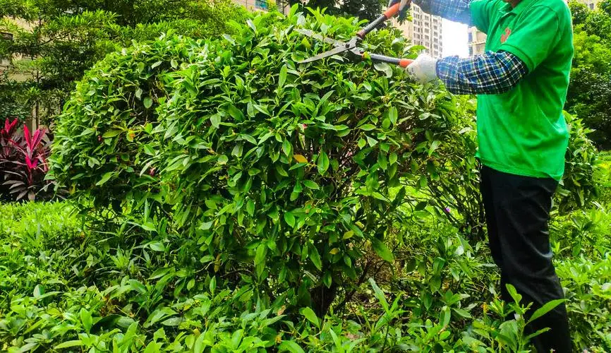 塑胶跑道材料标准类别详解：理清选择思路